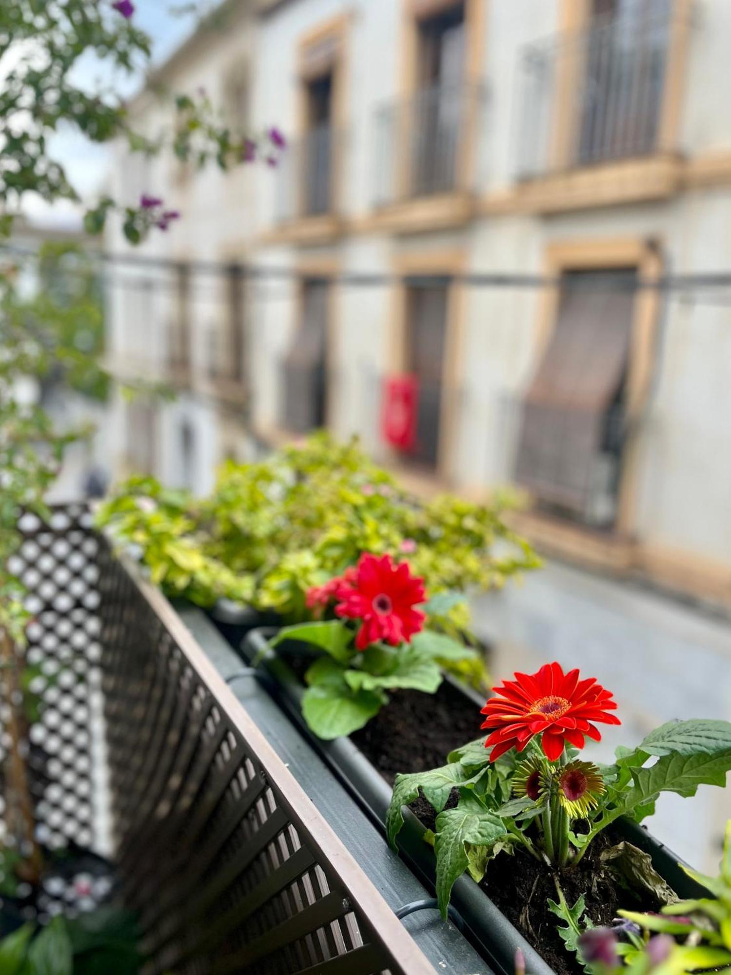 La Casa De Char Apartment Кордоба Екстериор снимка